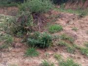 Lote com 264,10 m², no bairro Pérola Negra, Santa Luzia/MG