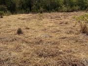 LOTE COM 380m2 EM CONDOMÍNIO FECHADO! 6198150 8787