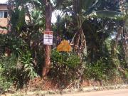 Lote com boa topograia, Juatuba