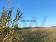 Lote com Projeto Aprovado: A sua Moradia T4 em...