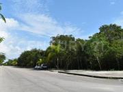 LOTE COMERCIAL EN ARRECIFES PLAYA DEL CARMEN C2377