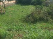 Lote condomínio Amobb Rua do Criador