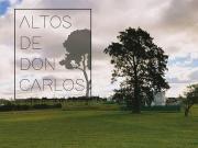 Lote de 11,25 x 27,50 507 y 138 ALTOS DE DON CARLOS I