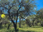 LOTE DE 1.500m² – LA HERMINDA