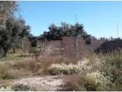 Lote de 2000 m2 en Coquimbito