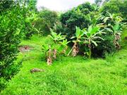 Lote de 2164 M2 en 149 mill en Tena Cund