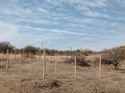 LOTE DE 2665M2 EN VILLA PARQUE SIQUIMAN PUNILLA