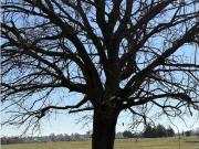 Lote de 3600 m2 en Chacras de San Andres