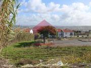 Lote de 451m2