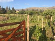 LOTE DE 500m² EN CORTADERAS