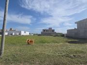 Lote de 618 m2 Frente a Espacio Verde! Docta AVENIDA 2,...