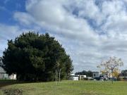 Lote de 630 M2 en Barrio Privado Rumencó Joven...