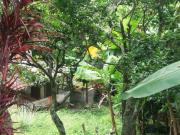 Lote de 739 M2 en 170 mill con construcciòn en El Ocaso...