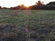 LOTE DE 90.776m EN MIRAMAR, CBA PEGADO A LA LAGUNA