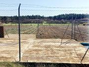 LOTE DE PARCELAS RUSTICAS DE PISTACHOS EN VENTA EN...