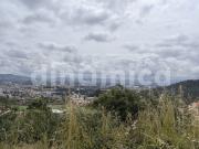 Lote de terreno