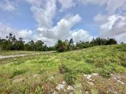 Lote de Terreno, Coronado São Romão e São Mamede, Trofa...