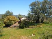 LOTE DE TERRENO DE 1.012,00 M² COM RUÍNAS DE 176,00 M²...