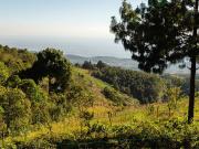 LOTE DE TERRENO DE 300 MT2 EN LA TRANQWUILIDAD DE LA...