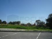 Lote de Terreno em Albergaria a Velha