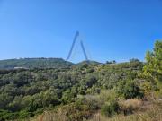 Lote de terreno em Sesimbra com vista Mar
