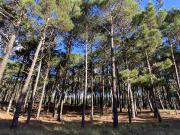 Lote de terreno en Villa Robles