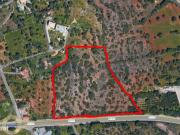 Lote de terreno junto estrada nacional 125, na Pat de Cima