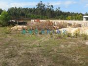 Lote de Terreno, Monte Real e Carvide, Leiria | BPI...