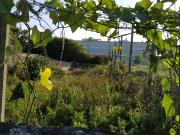 Lote de Terreno, Moreira, Maia | BPI Expresso Imobiliário