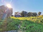 Lote de Terreno para Construção de Moradia Castelo Branco Lote de Terreno para Construção de Moradia Castelo Branco