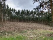 Lote de Terreno para construção, Figueiró dos Vinhos