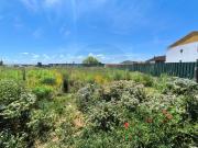 Lote de terreno Para Venda Abrantes