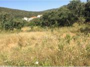 Lote de terreno rstico, Salir, Algarve