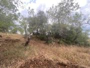 Lote de terreno rústico com a área total de 210m2,...