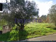 Lote de Terreno, São Lourenço Do Bairro, Anadia | BPI...