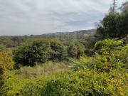 Lote de Terreno, Santa Lucrécia de Algeriz e Navarra,...