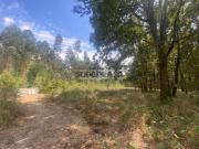 Lote de terreno Urbano