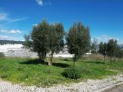 Lote de Terreno Urbano
