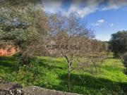 Lote de Terreno Venda em Antuzede e Vil de Matos,Coimbra