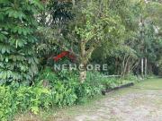 Lote em Alameda São Caetano Boracéia São Sebastião/SP