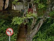 Lote em Avenida Cândido Hartmann Bigorrilho Curitiba/PR