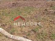 Lote em Avenida Clara Martins Zwarg Bopiranga Itanhaém/SP Lote em Avenida Clara Martins Zwarg Bopiranga Itanhaém/SP