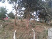 Lote em Avenida dos Jacarandás Vale das Acácias Ribeirão...