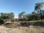 Lote em Avenida São Paulo Padre Miguel Santa Luzia/MG