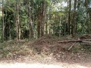 Lote em Caminho Rodrigues Pedra Vermelha Terra Preta...