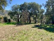 Lote em Castanheira de Pera