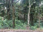 Lote em Condomínio à venda, Retiro do Chalé Brumadinho/MG