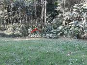 Lote em condomínio em Alameda Nelson Rodrigues Rio...