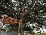Lote em condomínio em Estrada Caminho do Meio Cocão...