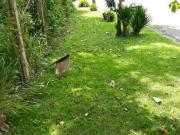 Lote em condomínio em Rua Doutor Altair Martins Granja...